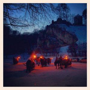 Sleigh Riding Tours in Ojcow National Park