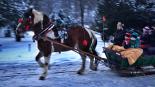 Sleigh ride in Ojcow National Park for small groups of 4 and 7 people with transport from Krakow